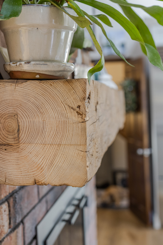 close-up of reclaimed wood shelf with plant in remodeled kitchen by BelPort Building & Remodeling Forestdale MA